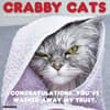image Crabby Cats 2027 Wall Calendar Main Product Image