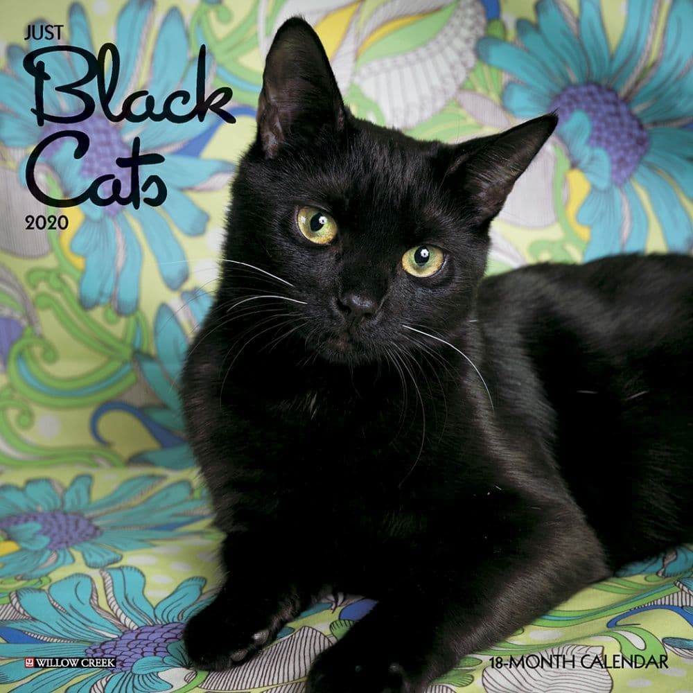 Black Cats Mini Wall Calendar - Calendars.com