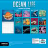 image Ocean Life 2024 Wall Calendar Alternate Image 2
