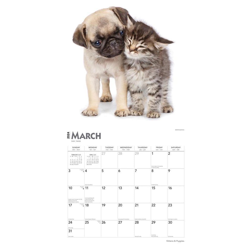 Kittens &amp; Puppies 2024 Wall Calendar Alternate Image 2