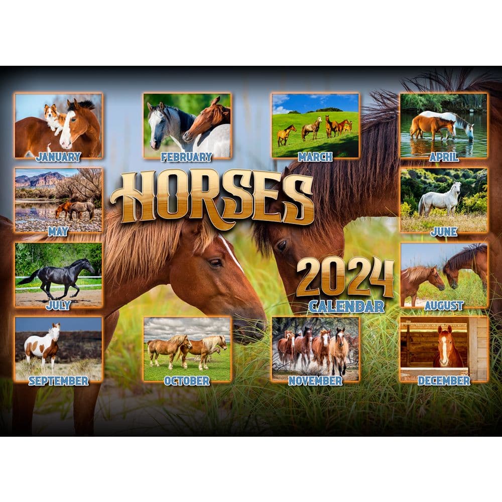 Horses 2024 Wall Calendar First Alternate Image
