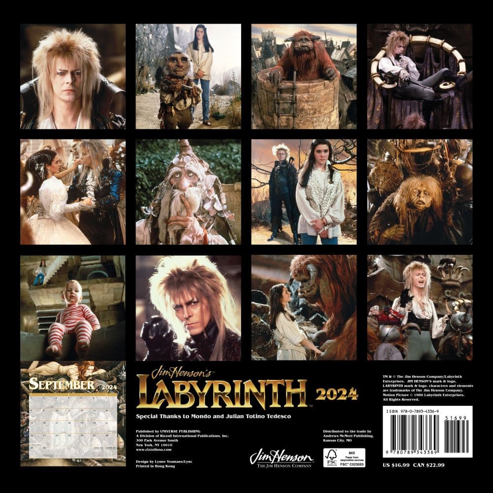 Labyrinth 2025 Wall Calendar