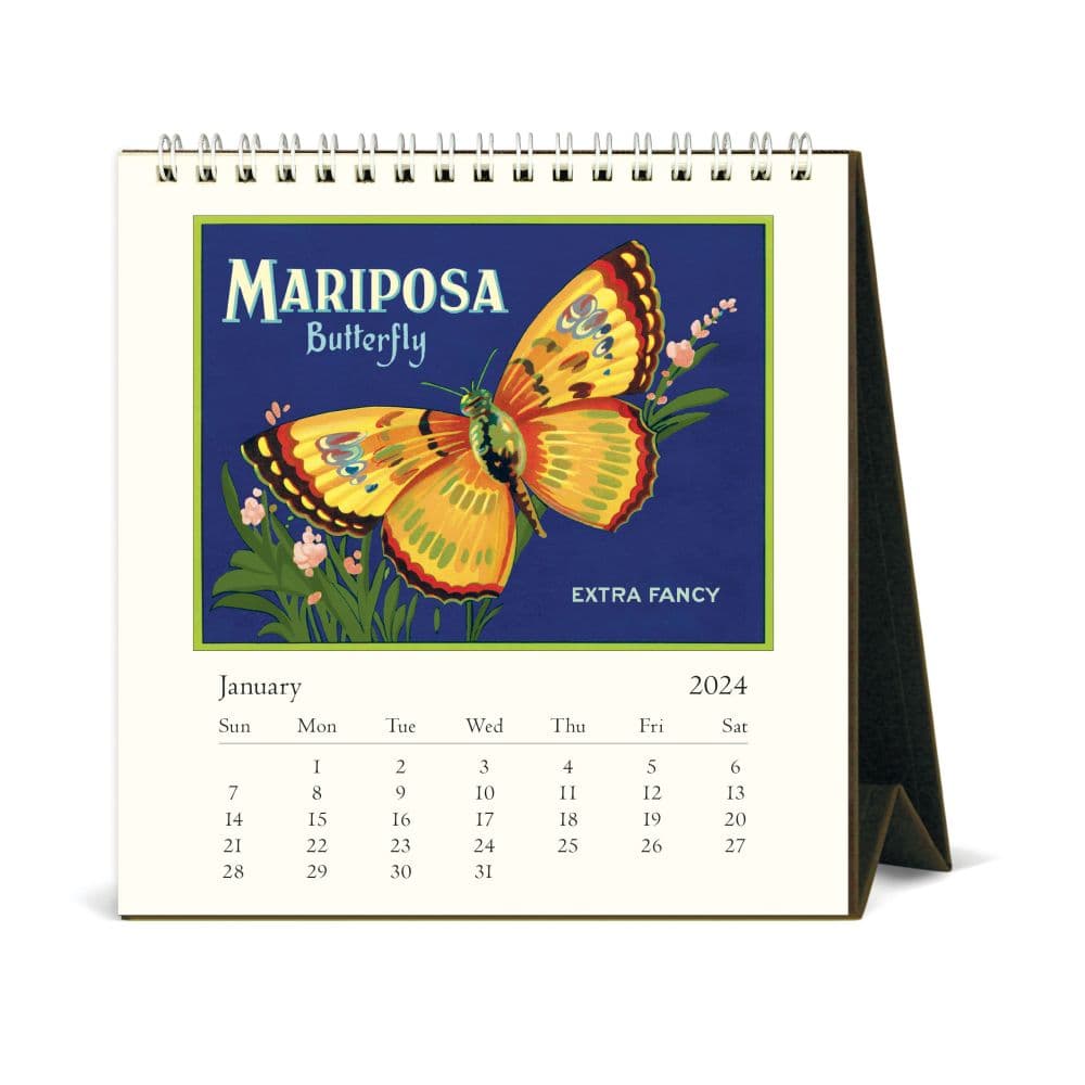 Butterflies 2024 Easel Desk Calendar Second Alternate Image width=&quot;1000&quot; height=&quot;1000&quot;