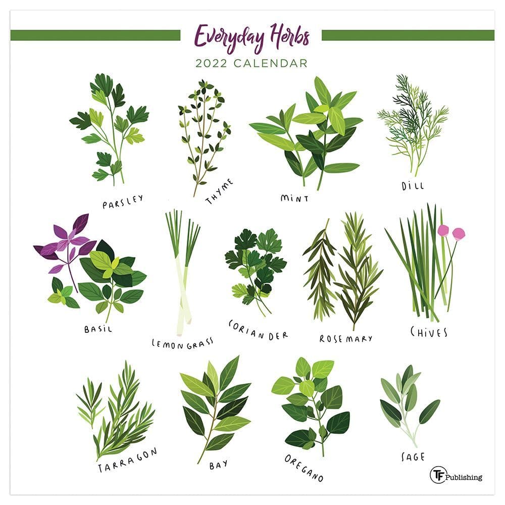 Herbs 2022 Wall Calendar