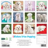 image Just Bichon Frises Puppies 2025 Wall Calendar First Alternate Image width="1000" height="1000"