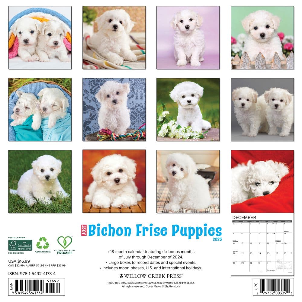 Just Bichon Frises Puppies 2025 Wall Calendar First Alternate Image width="1000" height="1000"