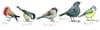 image Madeleine Floyd Mixed Birds Fine China Mug Alternate Image 1