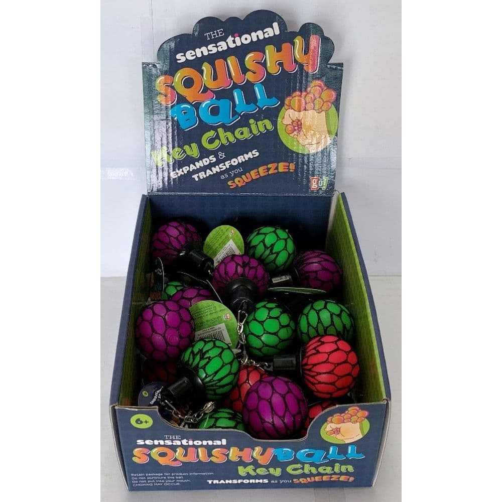 Mesh Squishy Ball Keychain Main Image