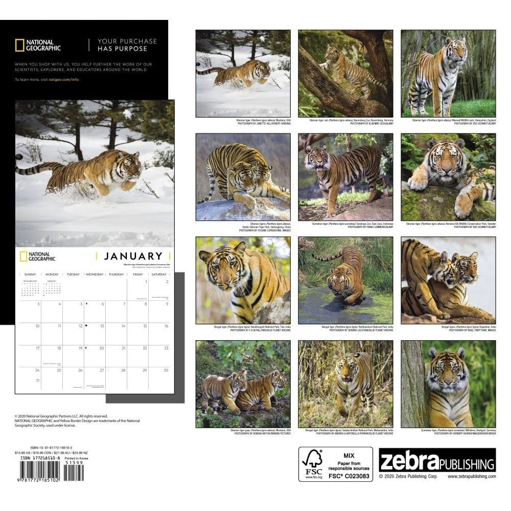 Tigers National Geographic Wall Calendar
