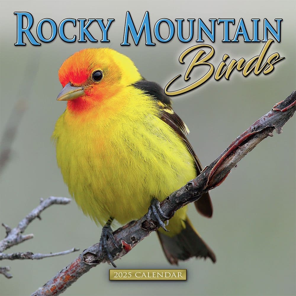 Rock Mountain Birds 2025 Wall Calendar Main Image
