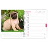 image Pugs 2024 Planner First Alternate Image width=&quot;1000&quot; height=&quot;1000&quot;