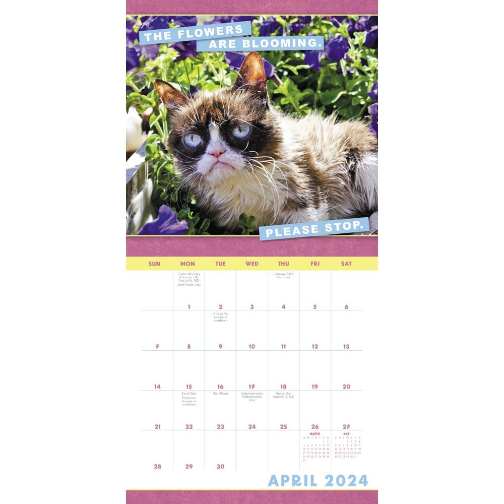 Grumpy Cat 2024 Mini Wall Calendar - Calendars.com