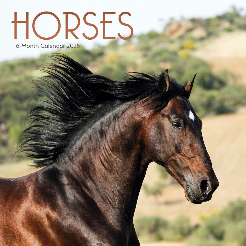 Horses 2025 Wall Calendar  Main Image