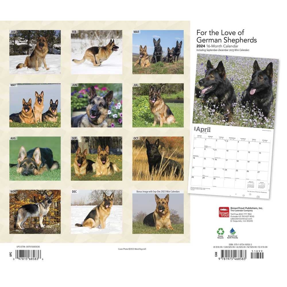 German Shepherds Deluxe 2024 Wall Calendar