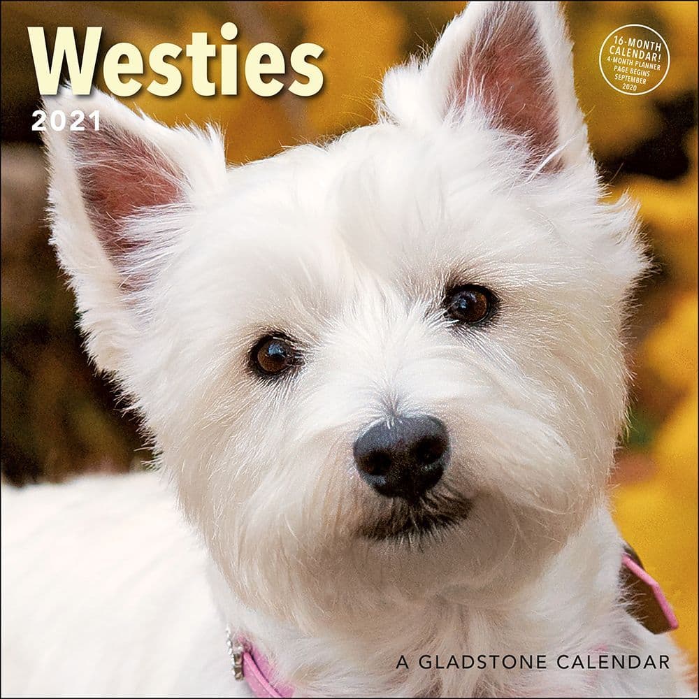 Westies Wall Calendar