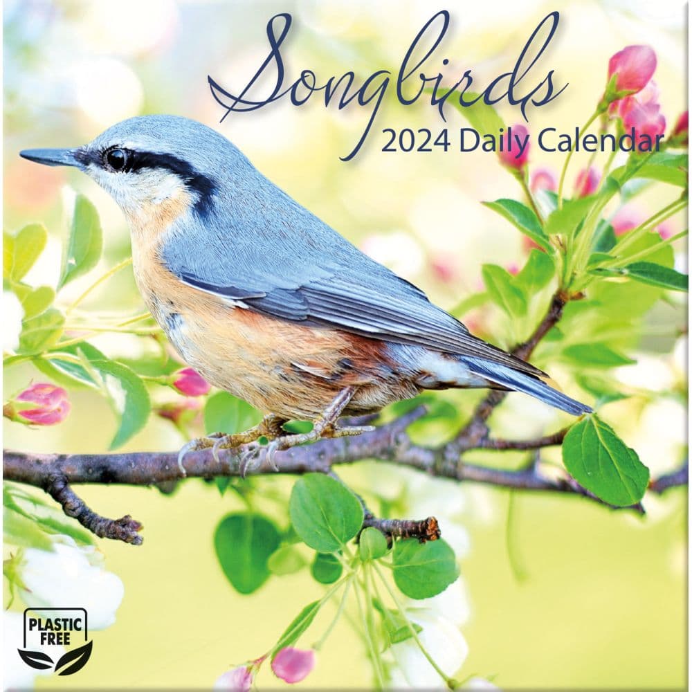 Songbirds 2024 Desk Calendar - Calendars.com