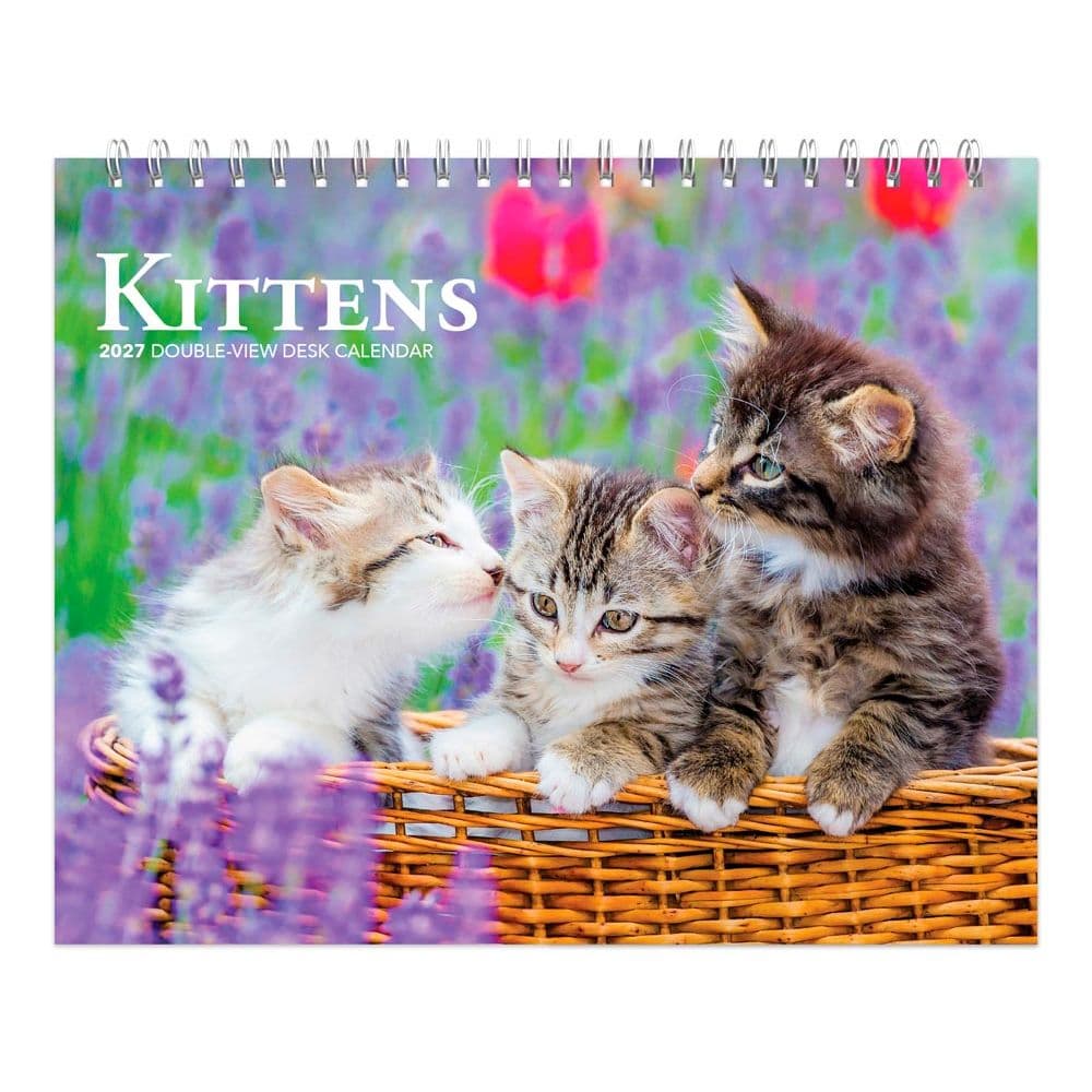 Kittens 2027 Double View Easel Desk Calendar Main Product Image
