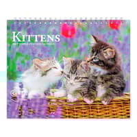 image Kittens 2027 Double View Easel Desk Calendar Main Product Image