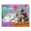 image Kittens 2027 Double View Easel Desk Calendar Main Product Image