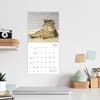 image Cats in Hats 2026 Mini Wall Calendar Fourth Alternate Image