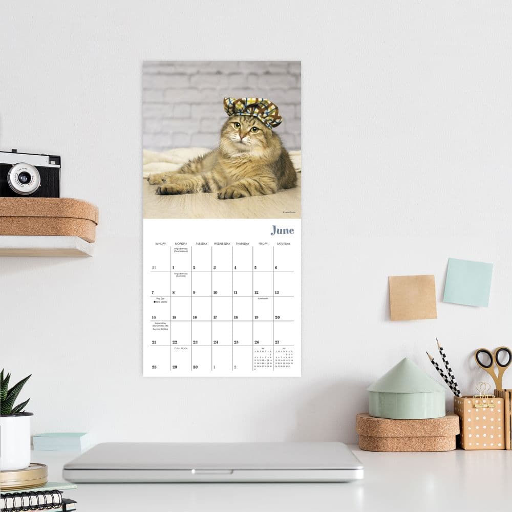 Cats in Hats 2026 Mini Wall Calendar Fourth Alternate Image
