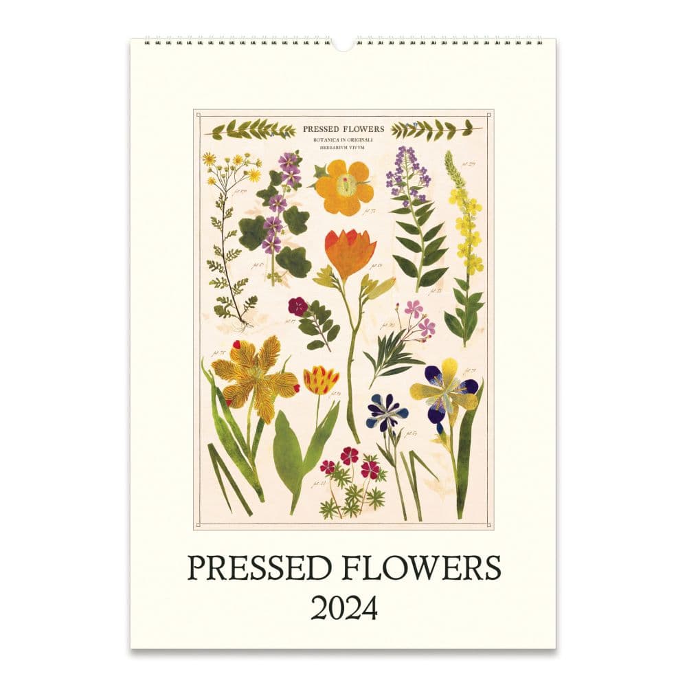 Pressed Flowers 2024 Poster Wall Calendar - Calendars.com