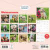 image Weimaraners 2026 Wall Calendar First Alternate Image