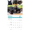 image Cat Lovers 2026 Wall Calendar Fourth Alternate Image