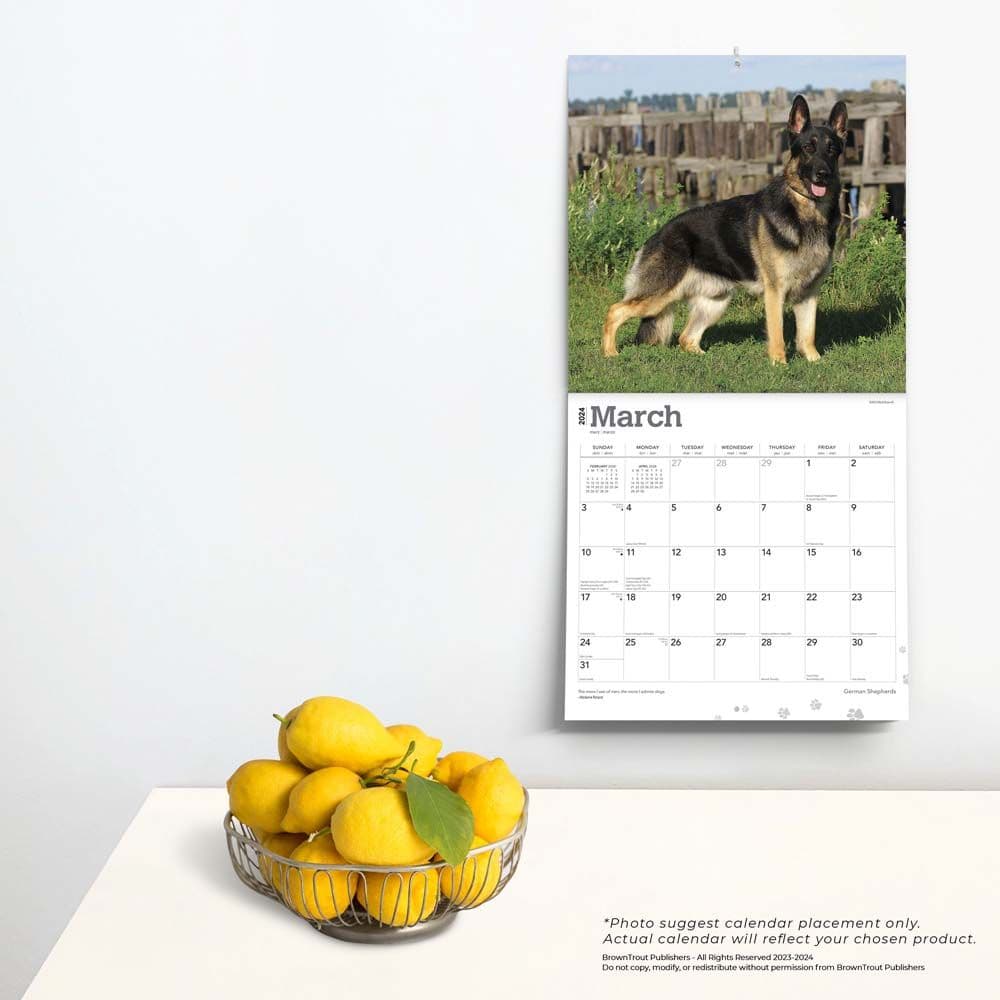 German Shepherds 2024 Wall Calendar