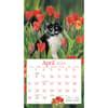 image Cats In The Country 2024 Wall Calendar Second Alternate Image width=&quot;1000&quot; height=&quot;1000&quot;