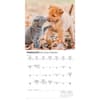 image Kittens and Puppies 2026 Mini Wall Calendar Second Alternate Image