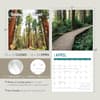image Redwood Forest 2024 Wall Calendar Seventh Alternate Image width=&quot;1000&quot; height=&quot;1000&quot;
