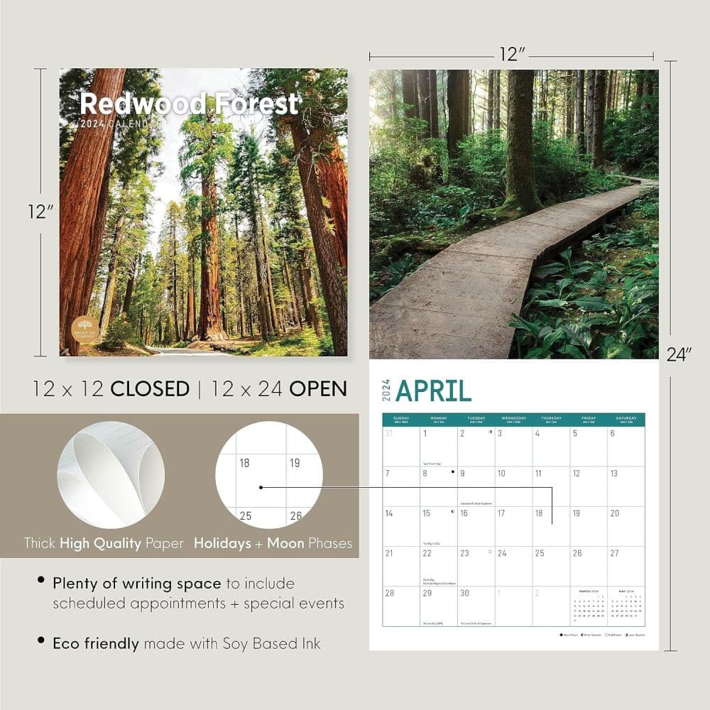 Redwood Forest 2024 Wall Calendar Seventh Alternate Image width=&quot;1000&quot; height=&quot;1000&quot;