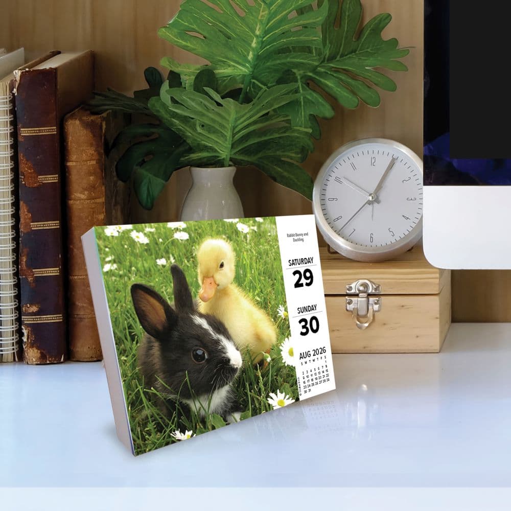 Baby Animals 2026 Desk Calendar Second Alternate Image