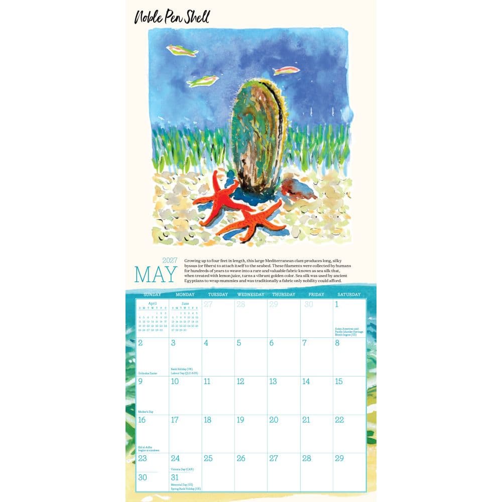 Searching for Seashells 2027 Mini Wall Calendar Third Alternate Image