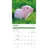 image Miniature Pigs 2026 Wall Calendar Fourth Alternate Image