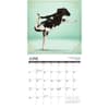 image Cow Yoga 2025 Wall Calendar