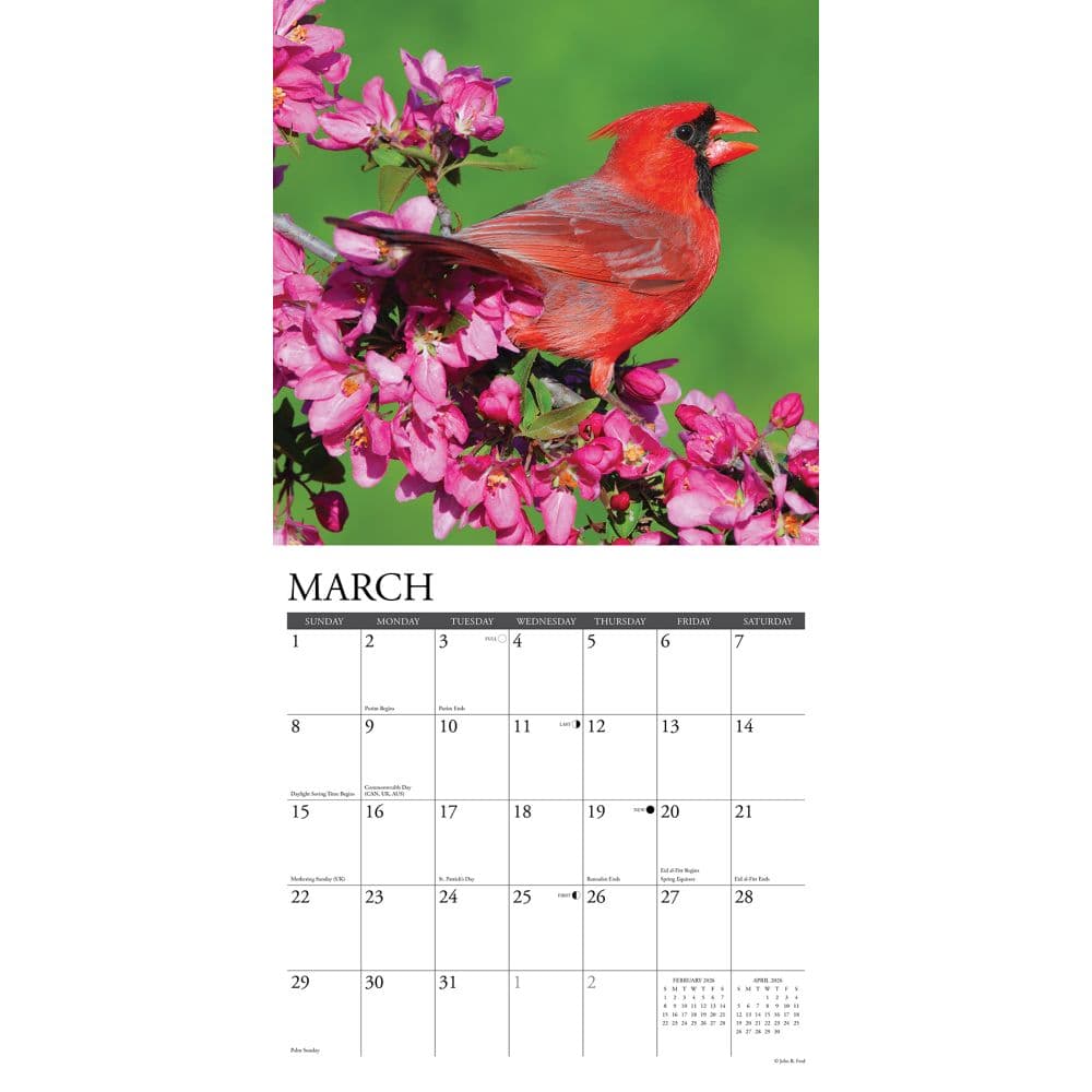 Cardinals 2026 Wall Calendar Second Alternate Image