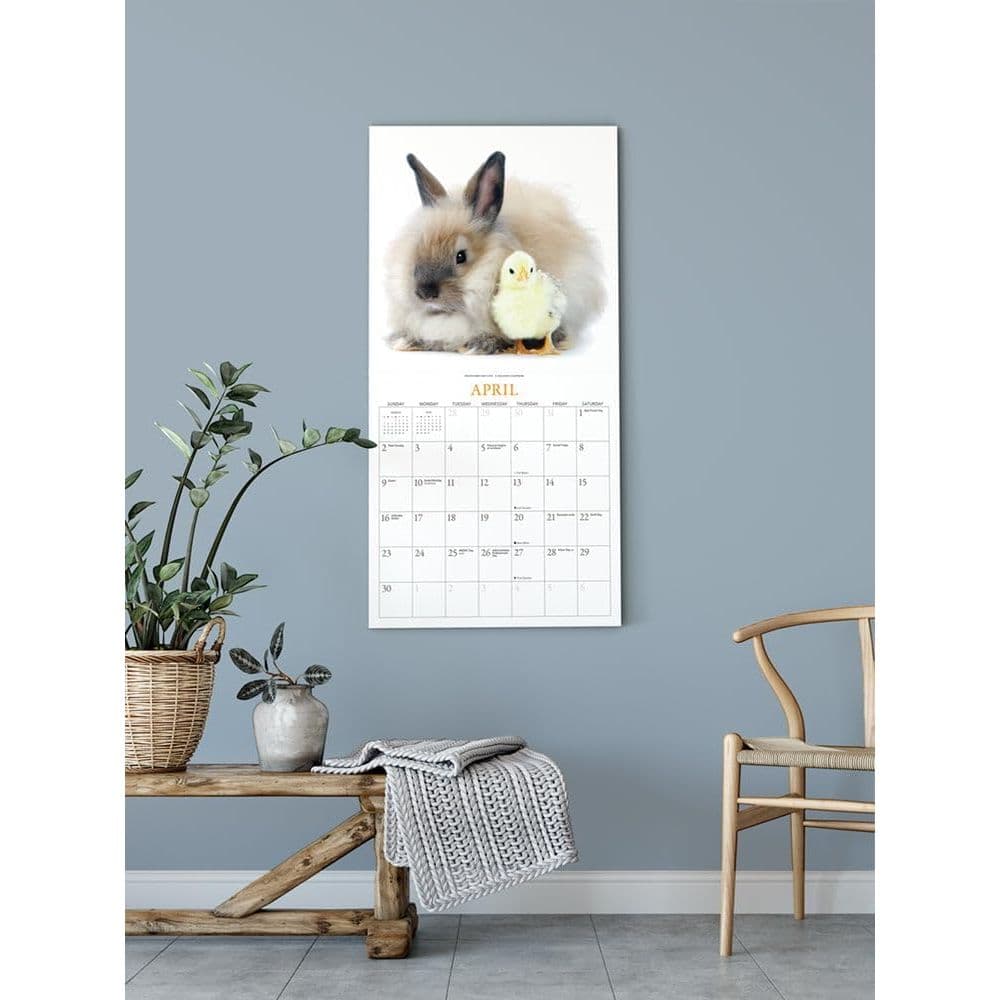 Bunnies and Friends 2024 Wall Calendar Fifth Alternate Image width=&quot;1000&quot; height=&quot;1000&quot;