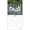 image What the Fck Kitty 2025 Wall Calendar Third Alternate Image width=&quot;1000&quot; height=&quot;1000&quot;