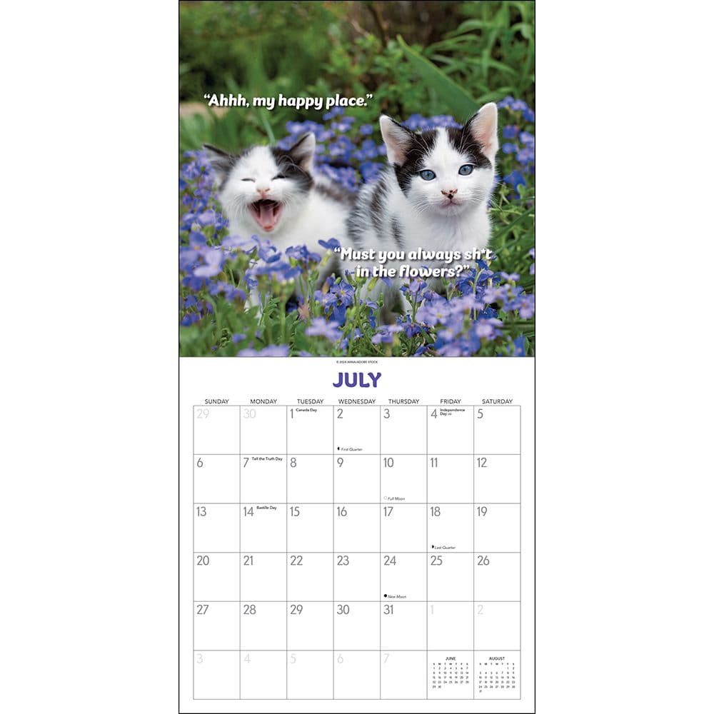 What the Fck Kitty 2025 Wall Calendar Third Alternate Image width=&quot;1000&quot; height=&quot;1000&quot;