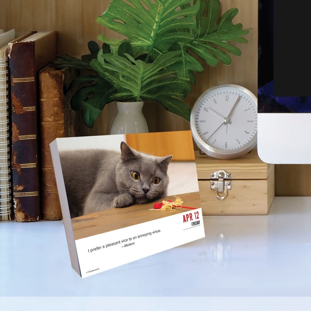 Bad Kitties 2024 Desk Calendar