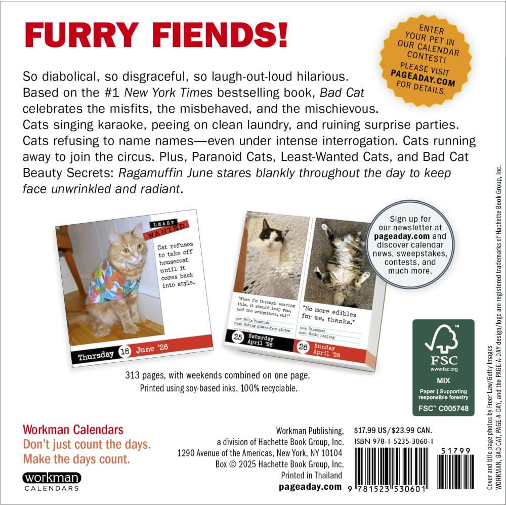 Bad Cat 2026 Desk Calendar First Alternate Image