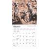 image Meerkats 2025 Mini Wall Calendar