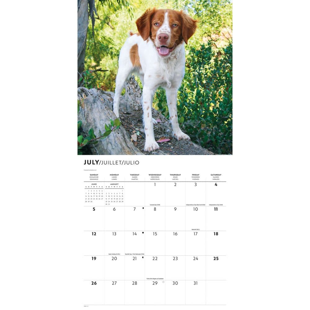 Brittanys 2026 Wall Calendar Third Alternate Image