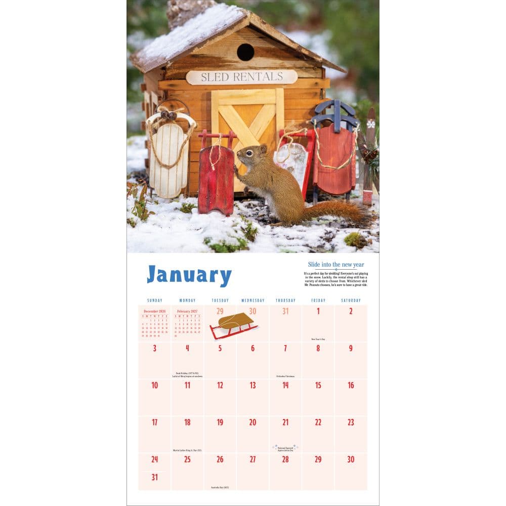 Secret Life of Squirrels 2027 Wall Calendar Second Alternate Image