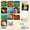 image Wildflowers 2027 Mini Wall Calendar First Alternate Image
