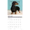 image Just Dachshunds 2025 Wall Calendar