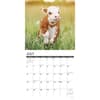 image Just Cows 2025 Wall Calendar