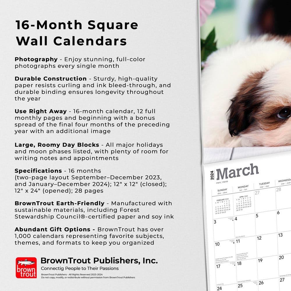 Shih Tzu Puppies 2024 Wall Calendar Alternate Image 4